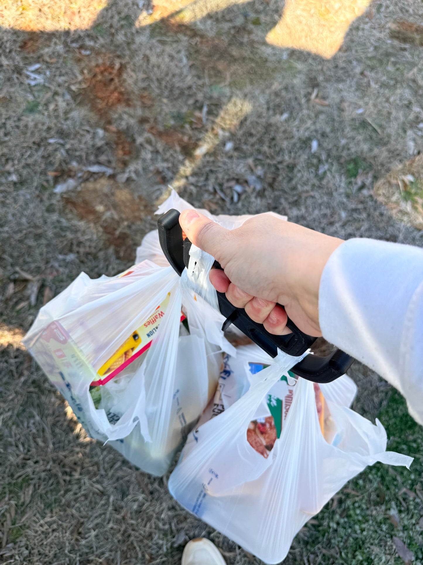 Grocery Carrier