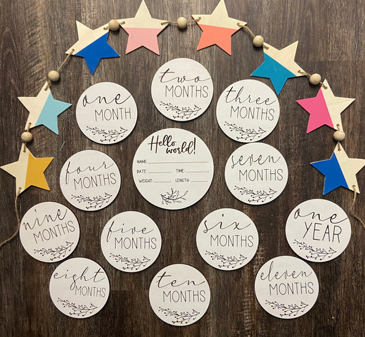 Baby Monthly Milestone Discs