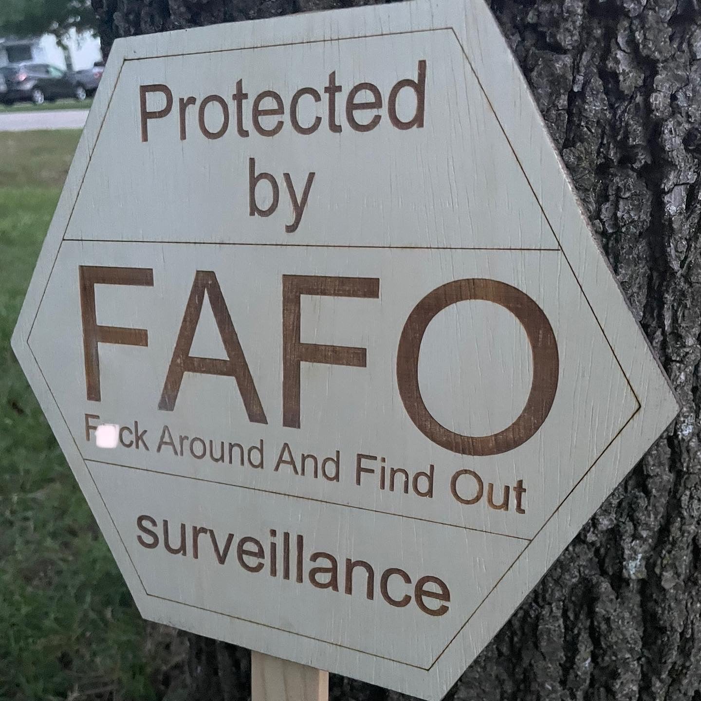 FAFO Survelliance Sign with Stake